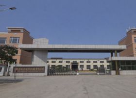 公司實力
